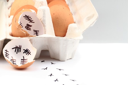 empty egg shells isolated on the white backgroundの写真素材
