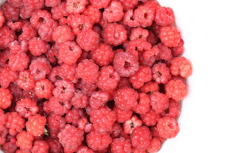 red raspberries texture as fresh fruit background