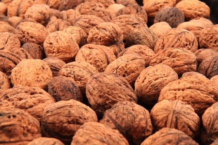 fresh czech walnuts as nice natural food backgroundの写真素材