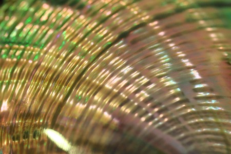 luxury pearl texture as very nice natural backgroundの写真素材