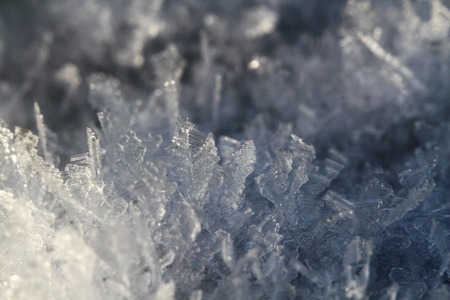snow stars backround (macro photo of real snow)の写真素材