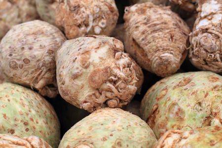 celery root as very nice vegetable backgroundの写真素材