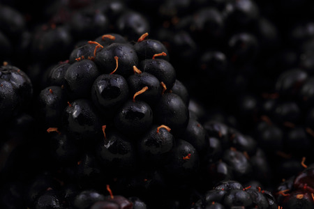 detail of blackberry as nice fruit backgroundの写真素材