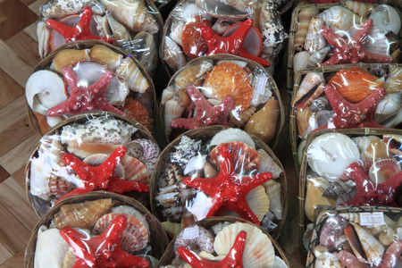 sea shells texture ,nice tourist souvenirs background