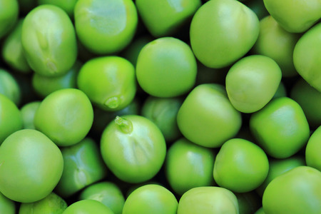 fresh green pea seeds as gourmet vegetable backgroundの写真素材