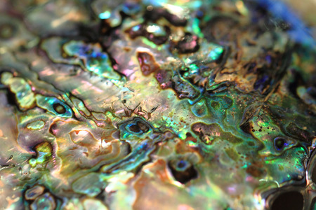 luxury pearl texture as very nice and color natural background