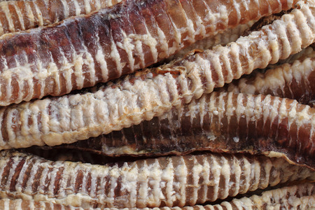 larynx meat for dogs as food backgroundの写真素材