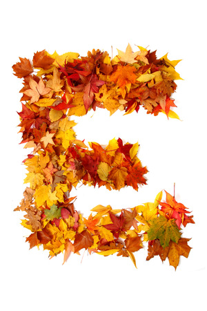 alphabet sign from autumn leaf isolated on the white backgroundの写真素材