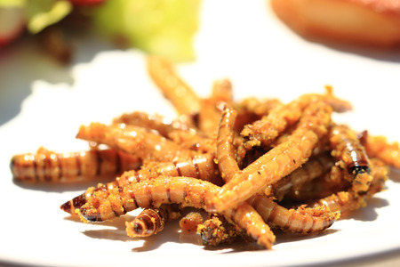 grilled worm with curry as gourmet background