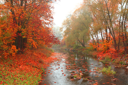 october autumn river landscape from central europe