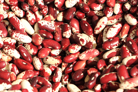 violet beans texture as very nice food background