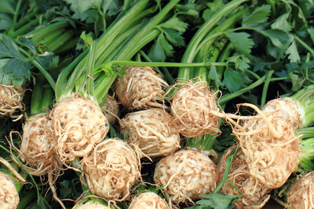 root celery from farm as very nice vegetable background