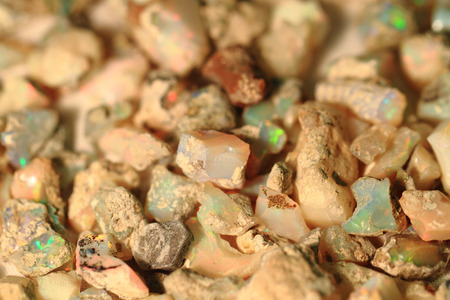 natural opal mineral collection as nice natural collectionの写真素材