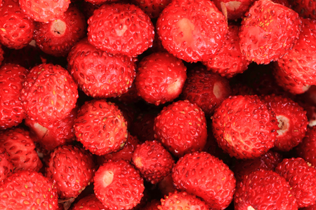 fresh red strawberries as nice fruit backgroundの写真素材