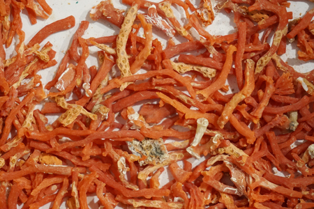 red coral texture as nice nutural backgroundの写真素材