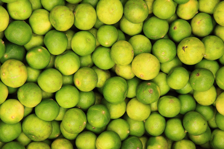 lime fruit texture - fresh fruits from africaの写真素材