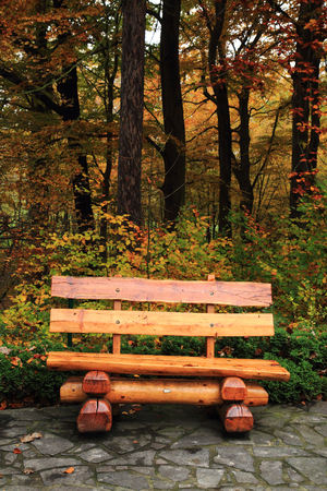 bench in the park in seasonal parkの写真素材