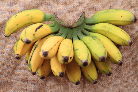 banana fruits from africa as nice food backgroundの写真素材