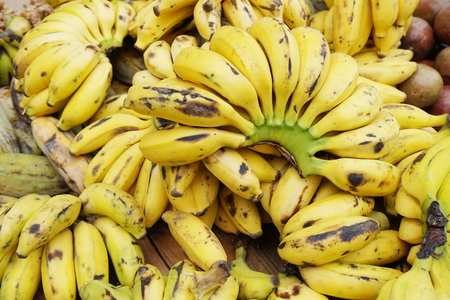 banana fruits from africa as nice food backgroundの写真素材