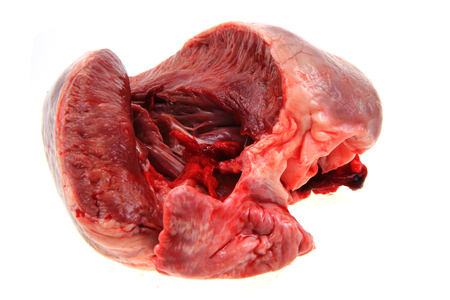 pig heart isolated on the white backgroundの写真素材