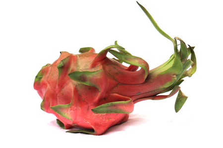 red dragon fruit isolated on the white backgroundの写真素材