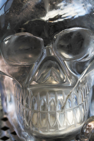 natural crystal skull as nice mystic backgroundの写真素材