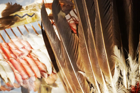 feather color texture as very nice abstract backgroundの写真素材