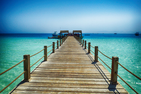 beauty sea mole from wood in Egyptの写真素材