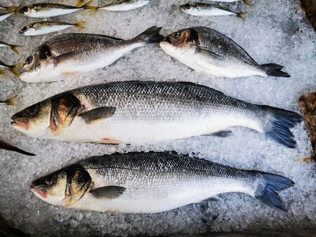 fresh fishes on the ice cubes as nice background