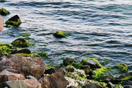 Beautiful Bulgarian Black sea in Ravda villageの写真素材