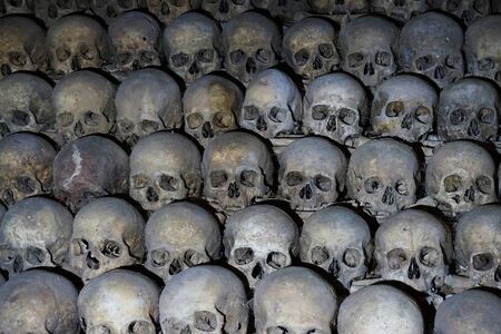 Human bones and skulls as pirate wall backgroundの写真素材