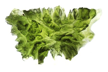 czech moldavite isolated on the white backgroundの写真素材