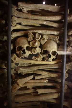 Human bones and skulls as pirate wall background