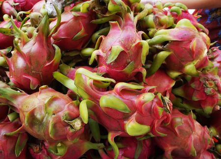 dragon fruit texture as very nice exotic fruit backgroundの写真素材