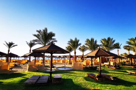 green hotel garden in Egypt as nice backgroundの写真素材