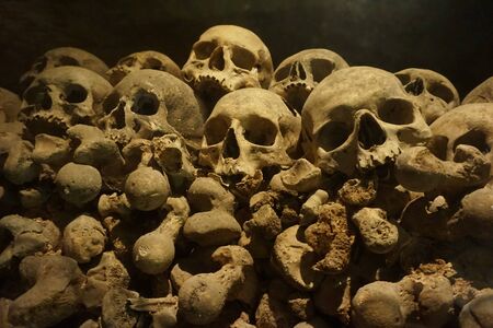 Human bones and skulls as pirate wall backgroundの写真素材
