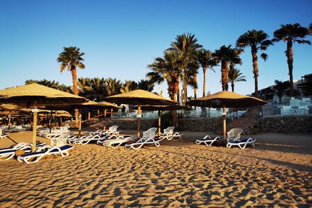 beach in the egypt as very nice background