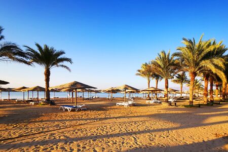beach in the egypt as very nice backgroundの写真素材