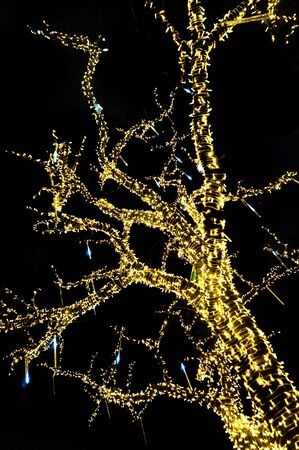 tree with christmas lights as very nice background