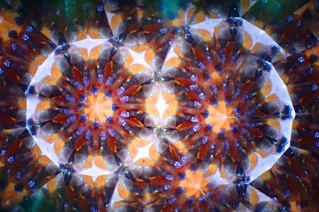 kaleidoscope from color glass as easy textureの写真素材