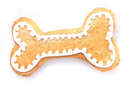 dog bone as gingerbread isolated on the white backgroundの写真素材