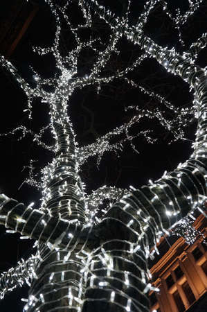 tree with christmas lights as very nice backgroundの写真素材