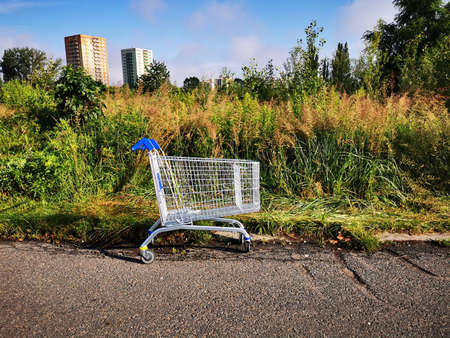empty shopping cart in the park as the symbol of market generation
