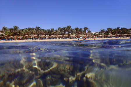 Red sea Makadi beach from the seaの写真素材