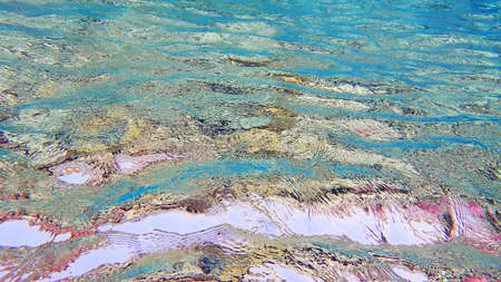 sea water texture as very nice diving background