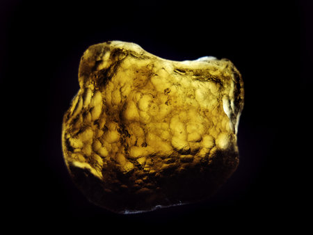 moldavite mineral isolated on the black backgroundの写真素材