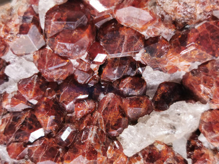 red garnet mineral texture as nice backgroundの写真素材