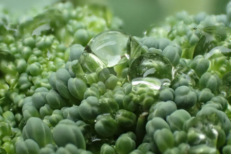 fresh broccoli vegetable as very nice food background