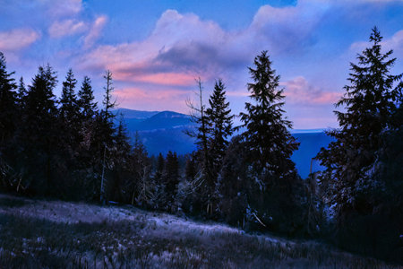 jesenyky mountains with nice green forest in the spring (czech republic)の写真素材