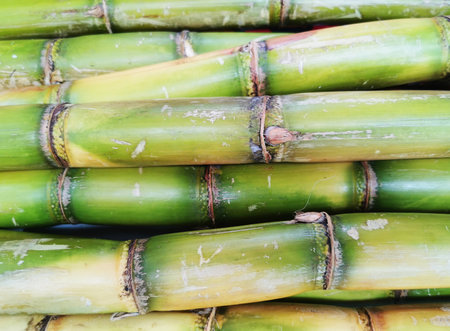 fresh sugar cane texture as nice food background